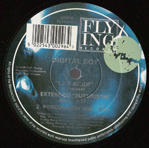 Digital Boy : 1-2-3 Acid! (12")