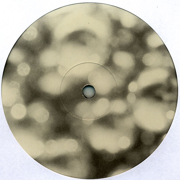 Luke Vibert : A Polished Solid (12")