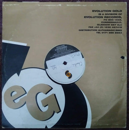 Auriga : The Journey (12")