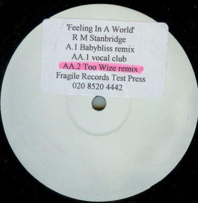 R M Stanbridge : Feeling In A World (12", TP, W/Lbl, Sti)