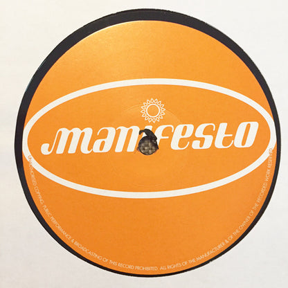 Janice Robinson : Earthbeat (2x12", Promo)