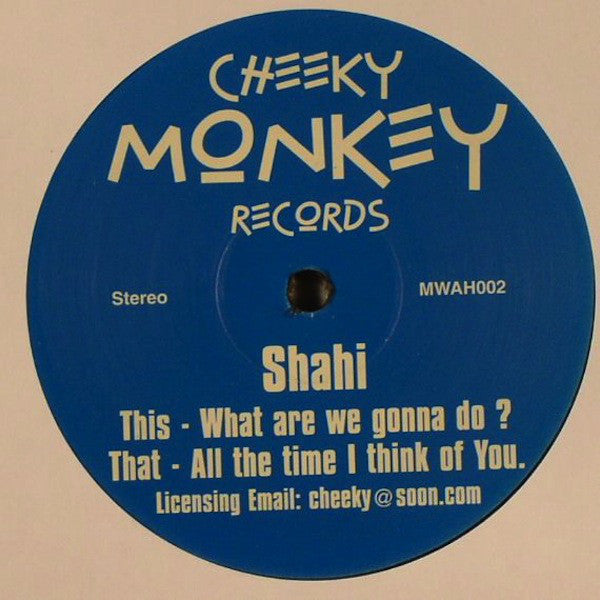 Shahi : What Are We Gonna Do ? (12")