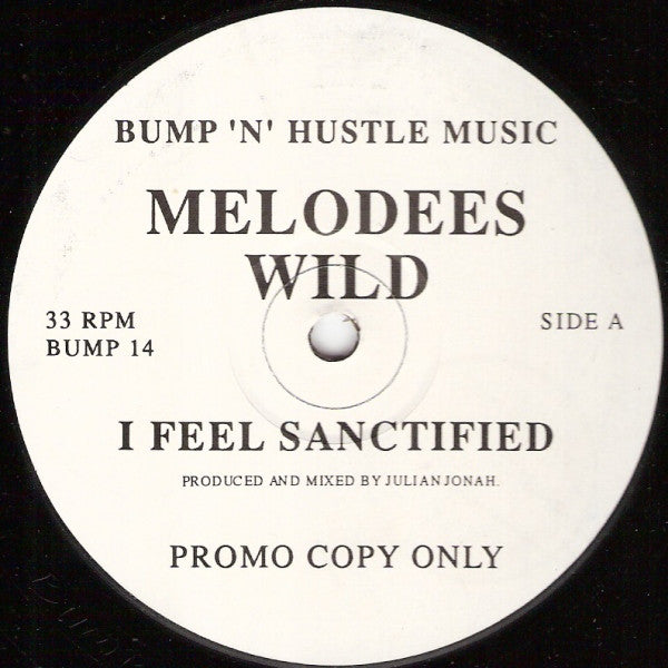 Melodees Wild : I Feel Sanctified (12", Promo)