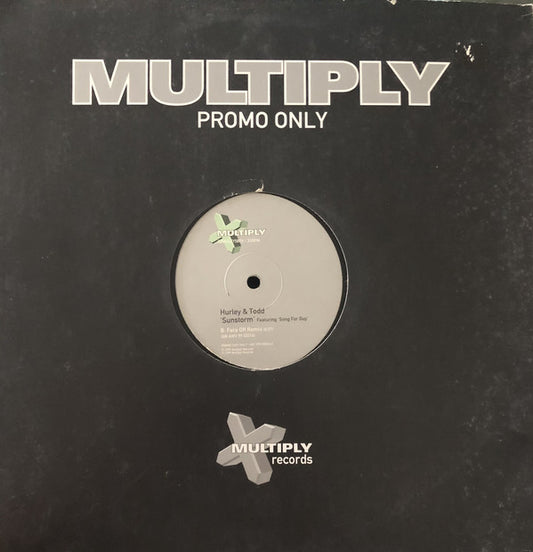 Hurley & Todd : Sunstorm (12", Promo)
