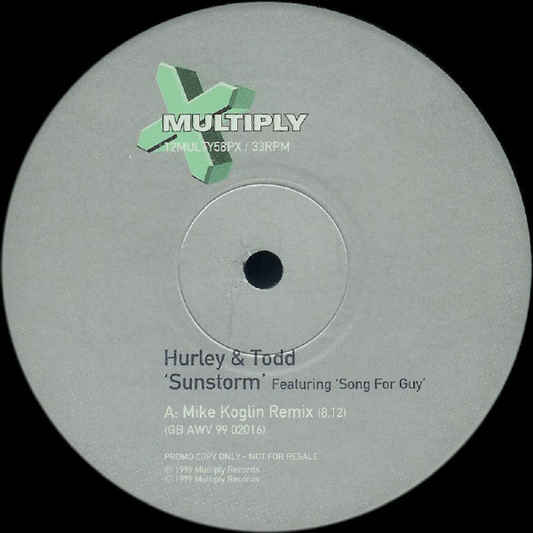 Hurley & Todd : Sunstorm (12", Promo)