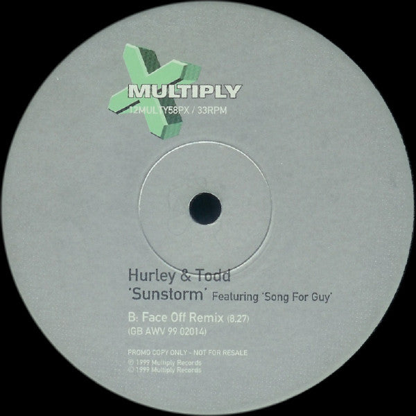 Hurley & Todd : Sunstorm (12", Promo)