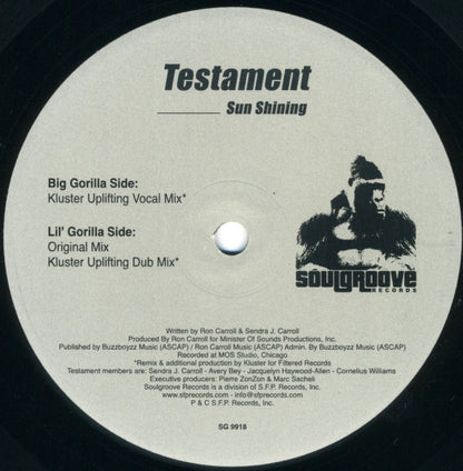 Testament : Sun Shining (12")