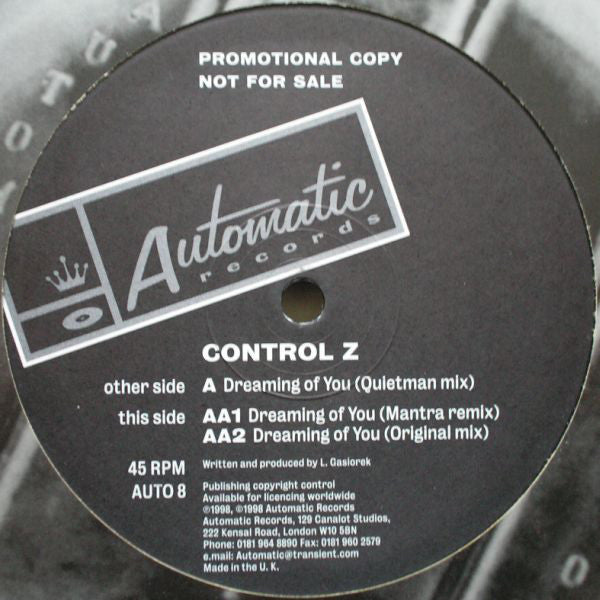 Control Z : Dreaming Of You (12", Promo)