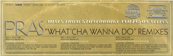 Pras Michel : What'cha Wanna Do (Remixes) (12", Promo)