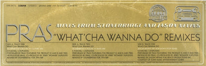 Pras Michel : What'cha Wanna Do (Remixes) (12", Promo)