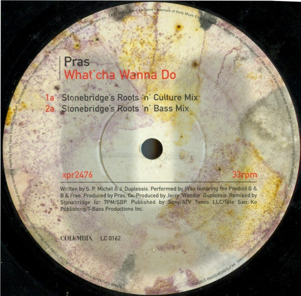 Pras Michel : What'cha Wanna Do (Remixes) (12", Promo)
