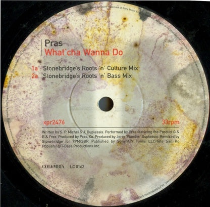 Pras Michel : What'cha Wanna Do (Remixes) (12", Promo)