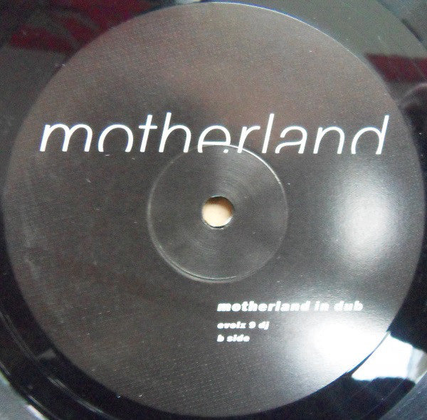 Motherland (2) : Motherland In Dub (12", Promo)