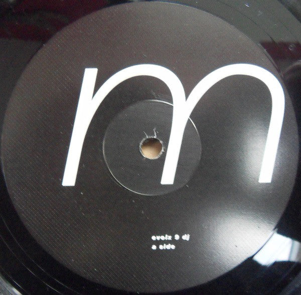 Motherland (2) : Motherland In Dub (12", Promo)