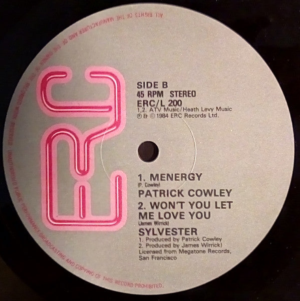Sylvester : Menergy (12")