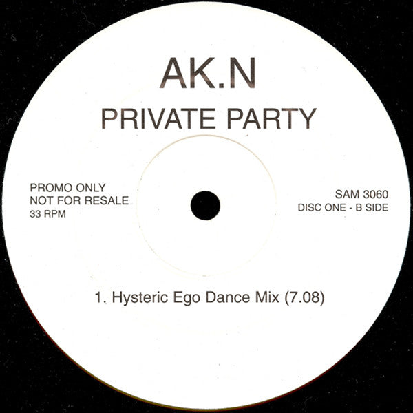 Akin : Private Party (12", Promo, Dis)