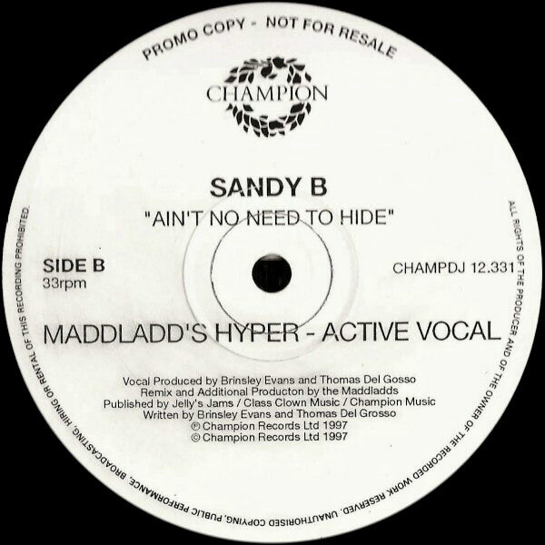 Sandy B : Ain't No Need To Hide (3x12", Promo)