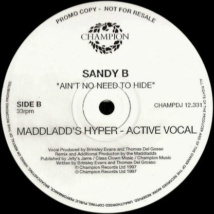 Sandy B : Ain't No Need To Hide (3x12", Promo)