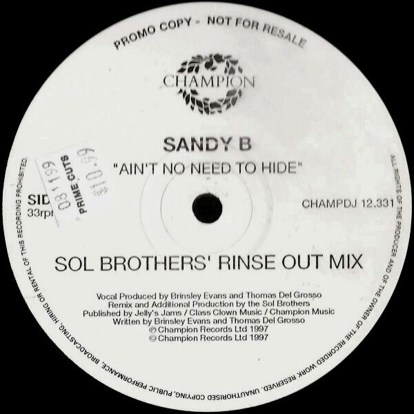 Sandy B : Ain't No Need To Hide (3x12", Promo)