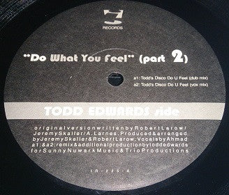 The Factory (2) : Do What You Feel (Part 2) (12")