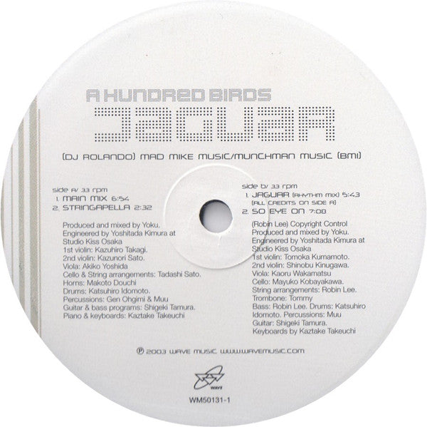A Hundred Birds : Jaguar (12")