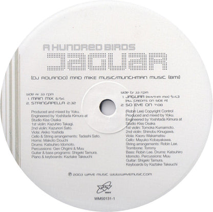 A Hundred Birds : Jaguar (12")