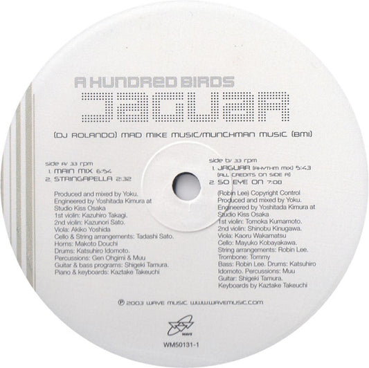 A Hundred Birds : Jaguar (12")