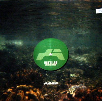 Nad's Lab : A Perfect Start (12")