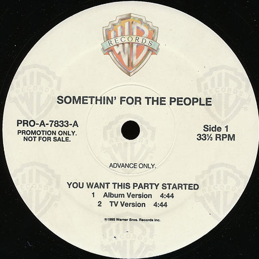 Somethin' For The People : You Want This Party Started (12", Promo)