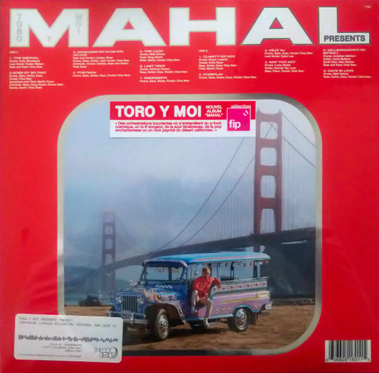 Toro Y Moi : Mahal (LP, Album)