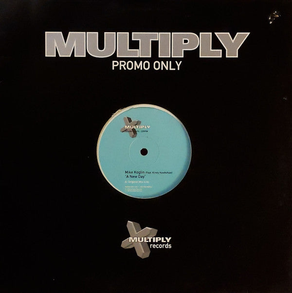 Mike Koglin : A New Day / Faking The Funk (12", Promo)
