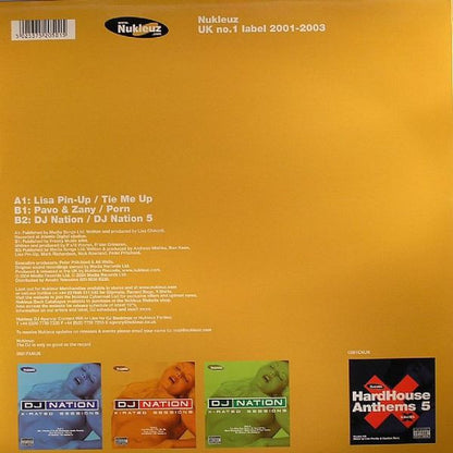 Various : DJ Nation X-Rated Sessions Part 2 (12")