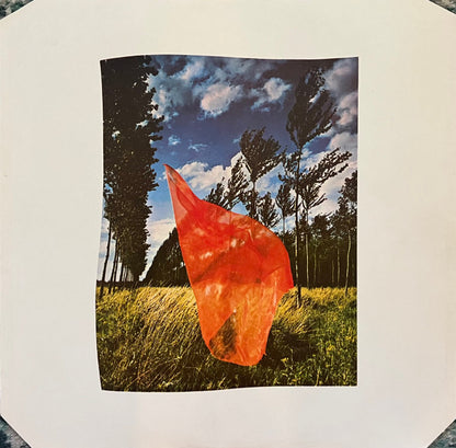 Pink Floyd : Wish You Were Here (LP, Album)