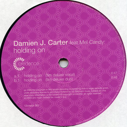 Damien J. Carter : Holding On (12", Promo)