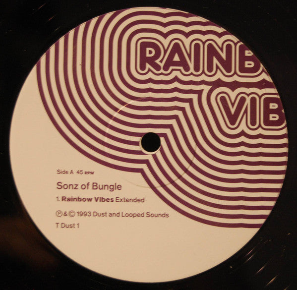 Sonz Of Bungle* : Rainbow Vibes (12")
