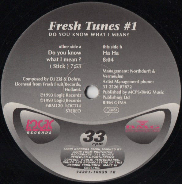 Fresh Tunes : #1 - Do You Know What I Mean? (12")