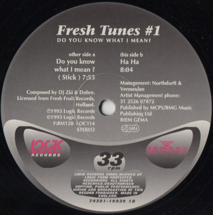 Fresh Tunes : #1 - Do You Know What I Mean? (12")