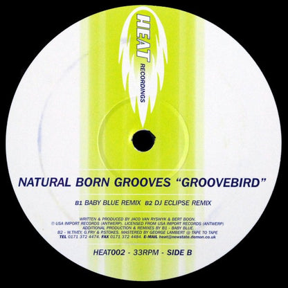 Natural Born Grooves : Groovebird (12")