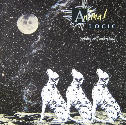 Animal Logic : Someday We'll Understand (12")