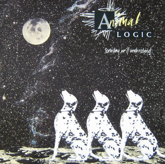 Animal Logic : Someday We'll Understand (12")