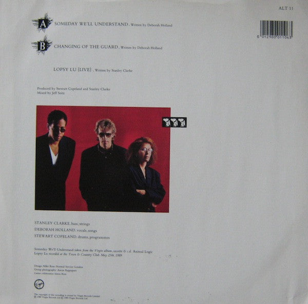 Animal Logic : Someday We'll Understand (12")