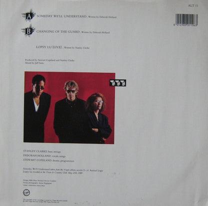 Animal Logic : Someday We'll Understand (12")