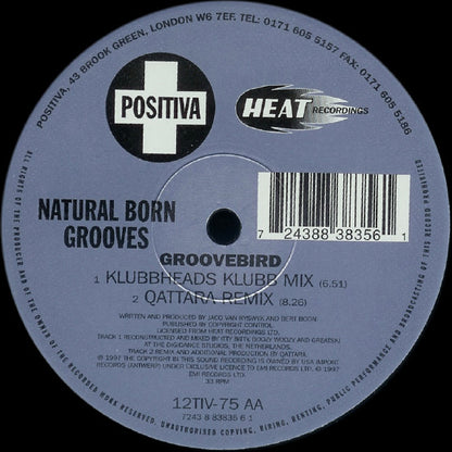 Natural Born Grooves : Groovebird (12")