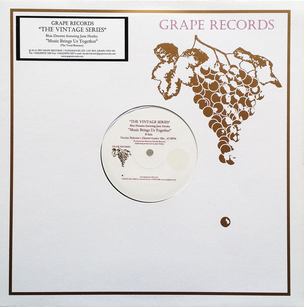 Blue Dreams Featuring Jane Henley : Music Brings Us Together (12")