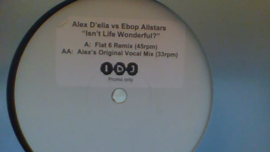Alex D'Elia vs. Ebop Allstars* : Isn't Life Wonderful? (12", W/Lbl, Sti)