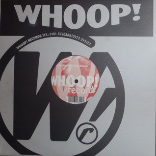 Deliverance : A Better Way Of Life (The Hook Mixes) (12")