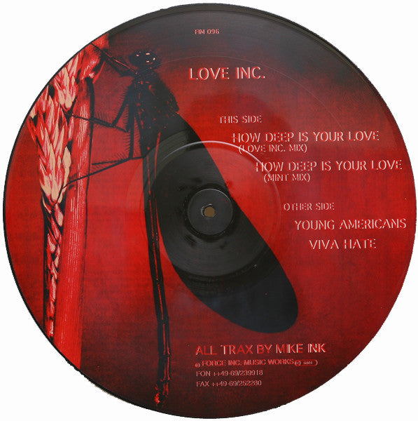 Love Inc. : How Deep Is Your Love (12", Pic)