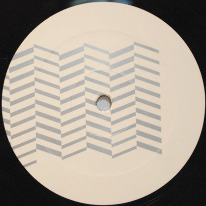 Thomas Lehn / Marcus Schmickler : Live Double Séance [Antaa Kalojen Uida] (LP + DVD, Multichannel)