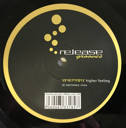 Visionary (3) : Higher Feeling (12")