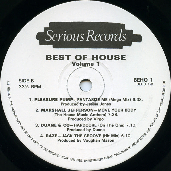 Various : Best Of House Volume 1 (LP, Comp)